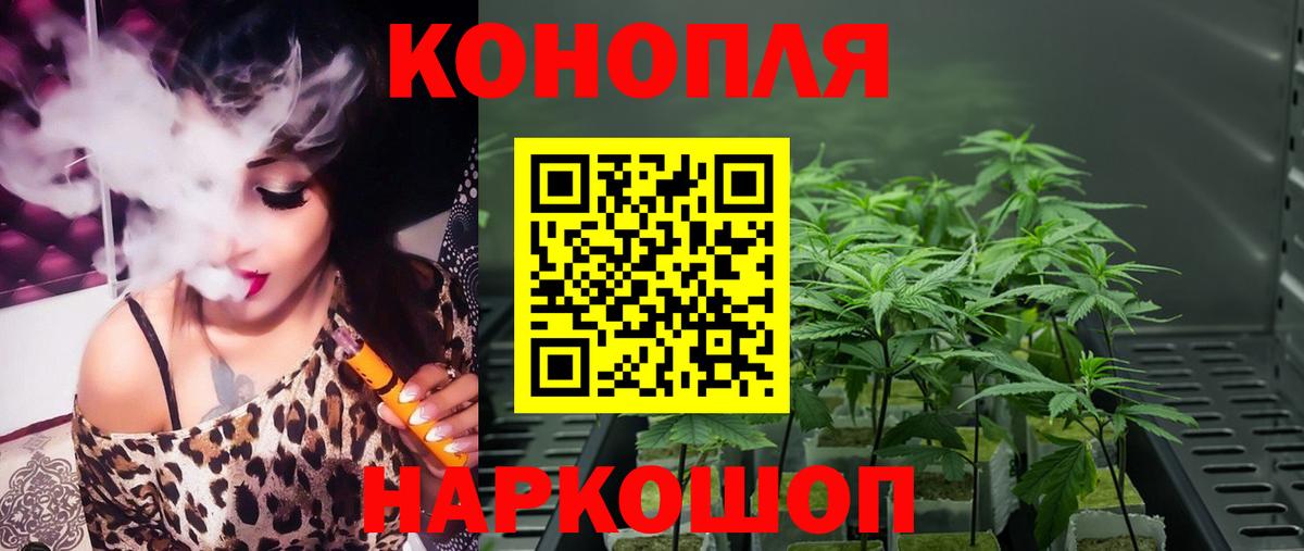Шишки марихуана OG Kush Урус-Мартан